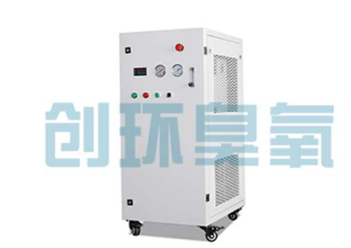 沧州石斑鱼养殖水质调控完整指南：臭氧发生器配置与操作步骤