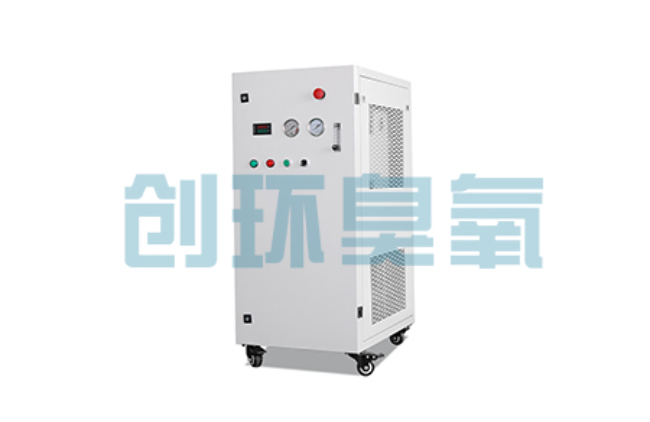 沧州比传统换水更高效？臭氧发生器在石斑鱼养殖中的水质净化原理解析